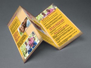 Brochure MockUp 1